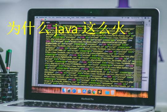 為什么java這么火