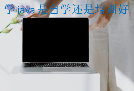 學java是自學還是培訓好