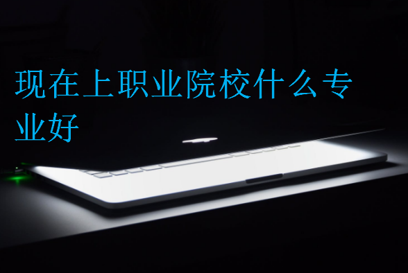 現在上職業院校什么專業好
