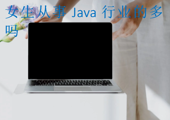 女生從事Java行業的多嗎