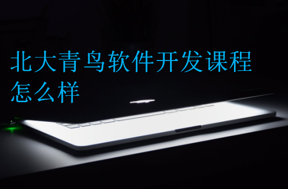 中博教育軟件開發(fā)課程怎么樣