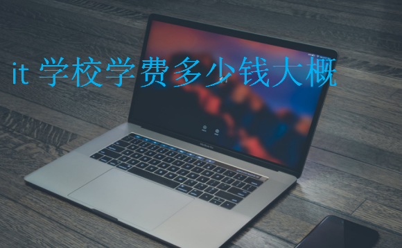 it學校學費多少錢大概