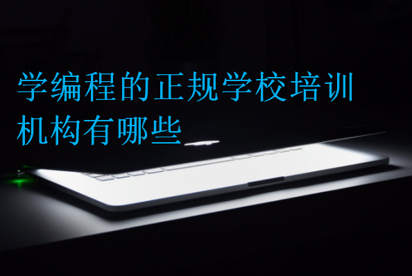 學編程的正規學校培訓機構有哪些