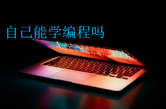 自己能學(xué)編程嗎