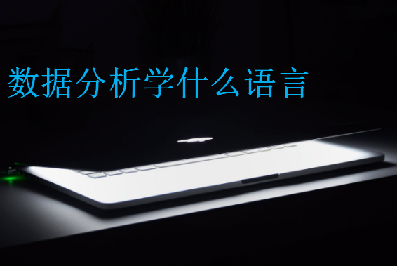 數(shù)據(jù)分析學(xué)什么語言