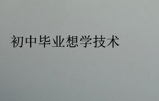 初中畢業(yè)想學(xué)技術(shù)