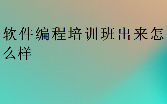 軟件編程培訓班出來怎么樣