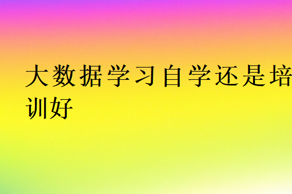 大數(shù)據(jù)學(xué)習(xí)自學(xué)還是培訓(xùn)好