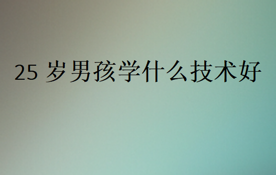 25歲男孩學什么技術好