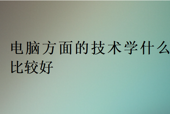 電腦方面的技術學什么比較好