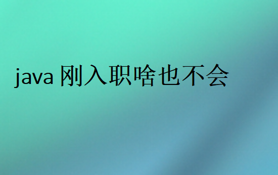 Java要做什么工作