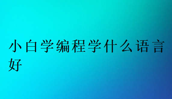小白學編程學什么語言好