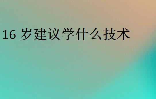 適合16歲學的技術(shù)