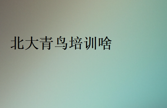 中博教育培訓啥