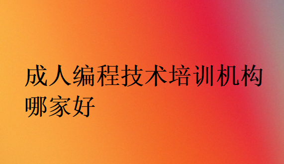 成人編程技術培訓機構哪家好
