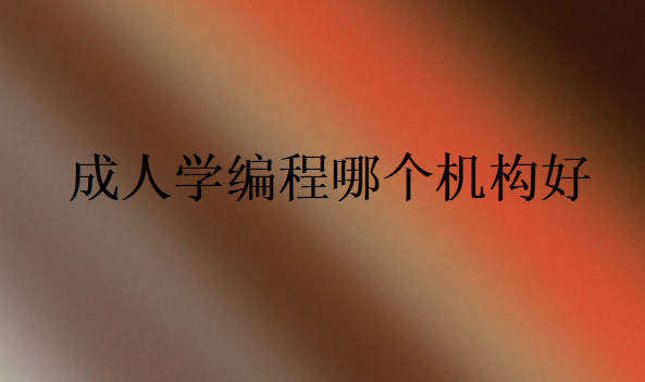 成人學(xué)編程哪個(gè)機(jī)構(gòu)好