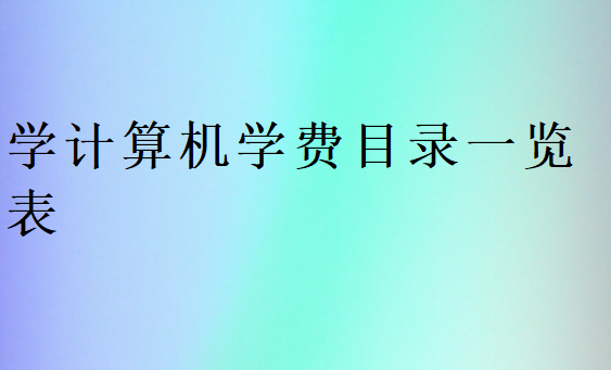 學(xué)計(jì)算機(jī)學(xué)費(fèi)目錄一覽表